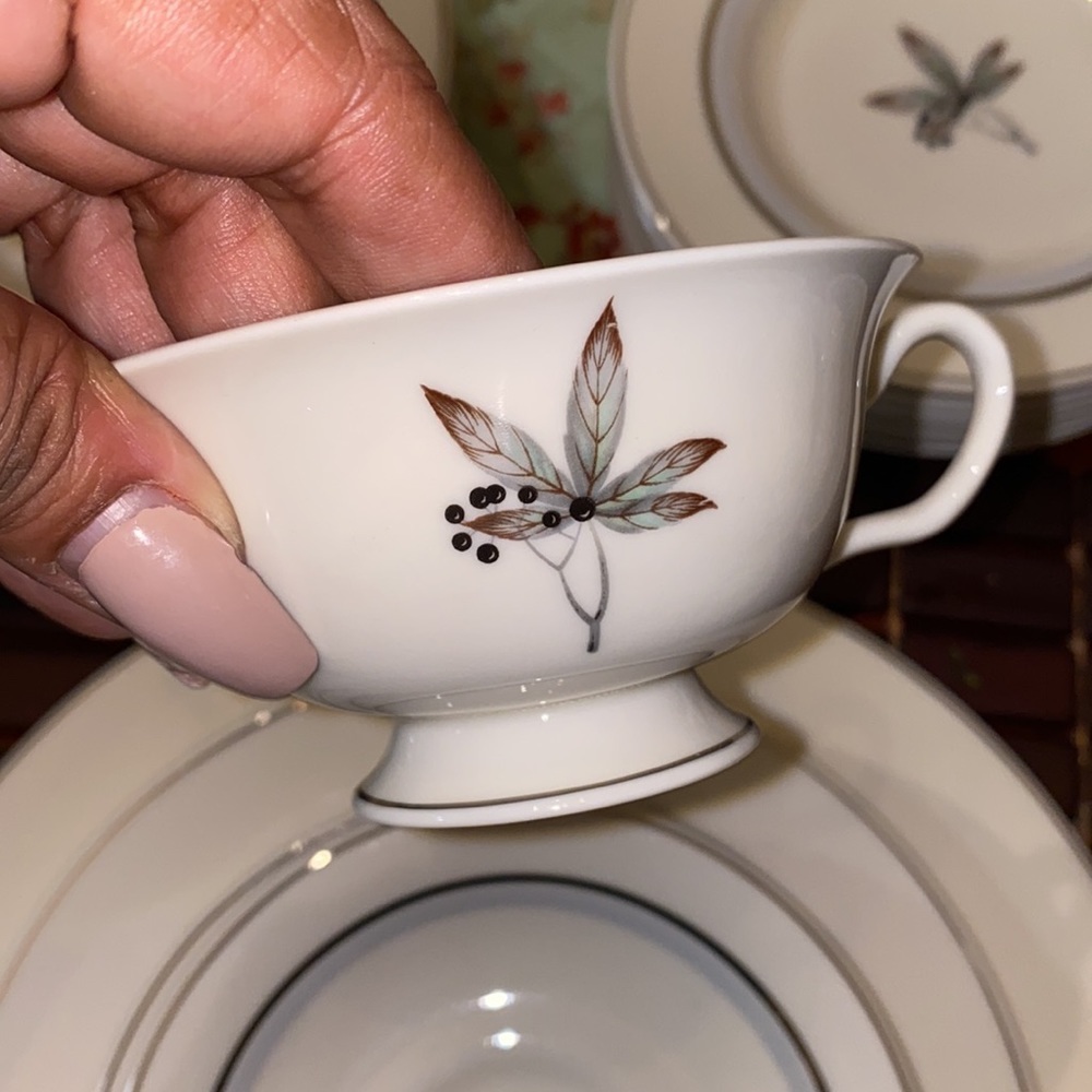 Castleton Fine China Glenwood Service for Four - 40 pc Set - Picture 9 of 10
